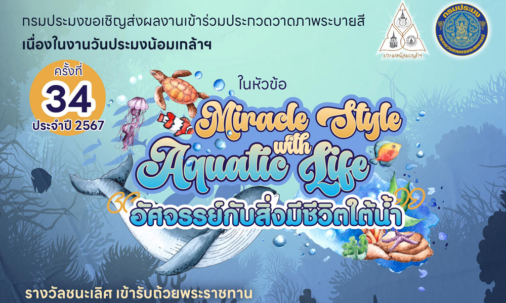 Miracle Style with Aquatic Life : อัศจรรย์กับสิ่งมีชีวิตใต้น้ำ