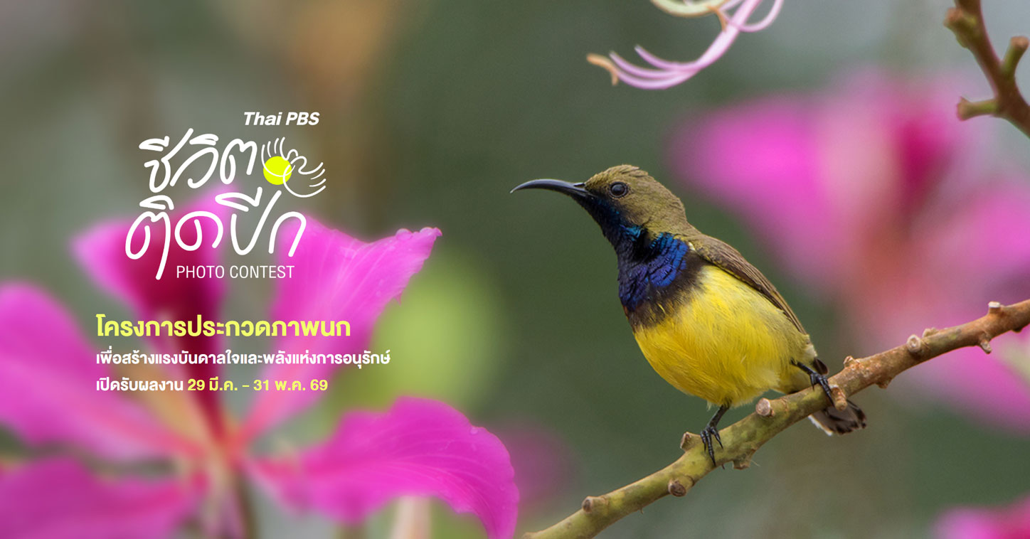 Thai PBS ชีวิตติดปีก Photo Contest