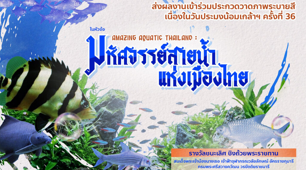 Amazing Aquatic Thailand