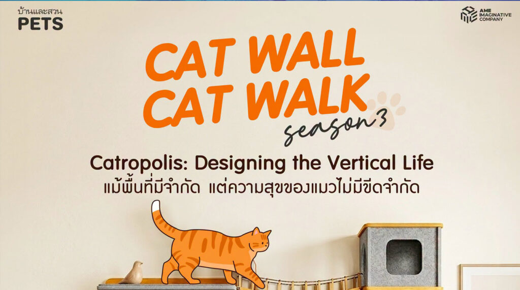 Cat Wall Cat walk season 3